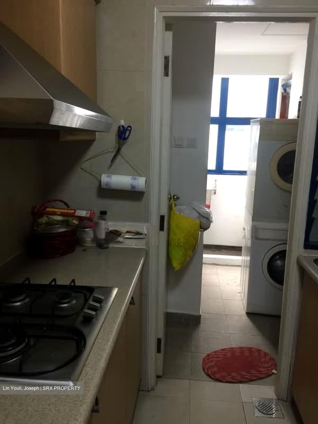 Nineteen Shelford Road (D11), Condominium #568751241